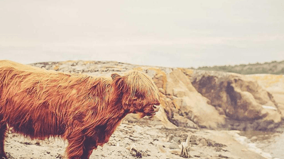 Balance - professional stock photography