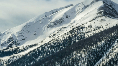 Balance - professional stock photography