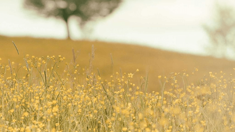 Calm - professional stock photography