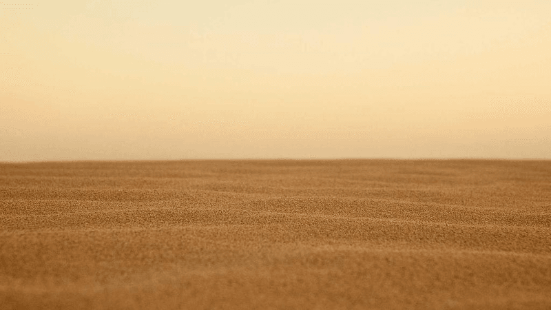 Calm - professional stock photography