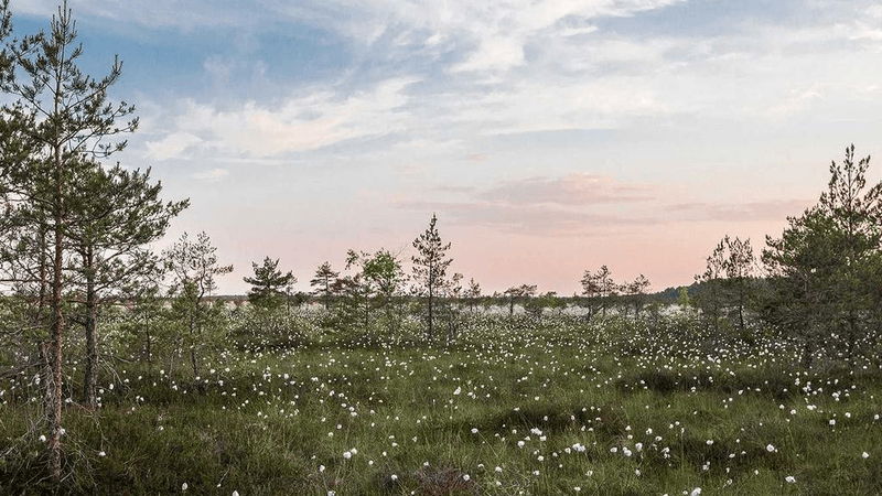 Calm - professional stock photography