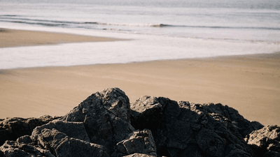 Focus - professional stock photography