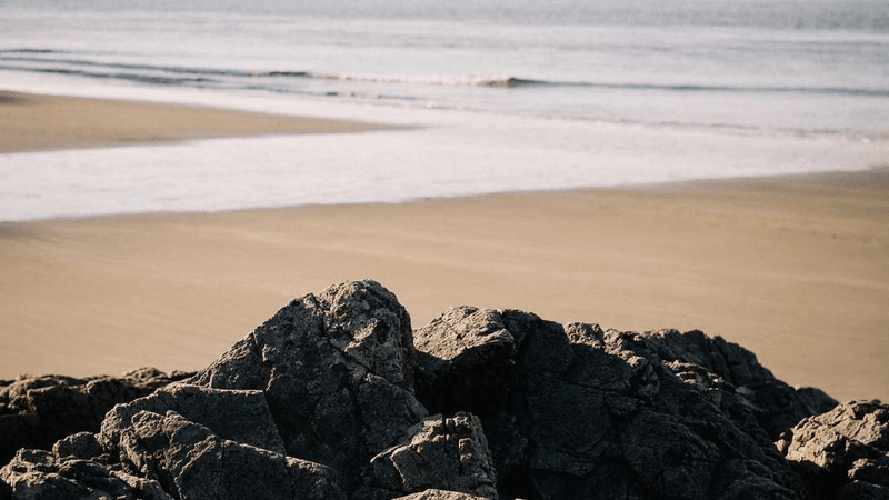 Focus - professional stock photography