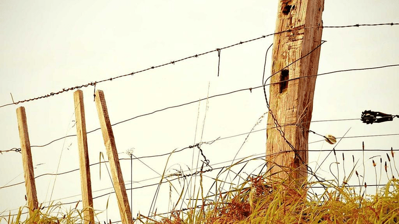 Goal - professional stock photography