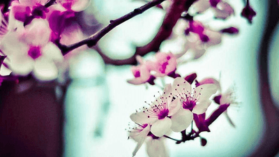 Goal - professional stock photography