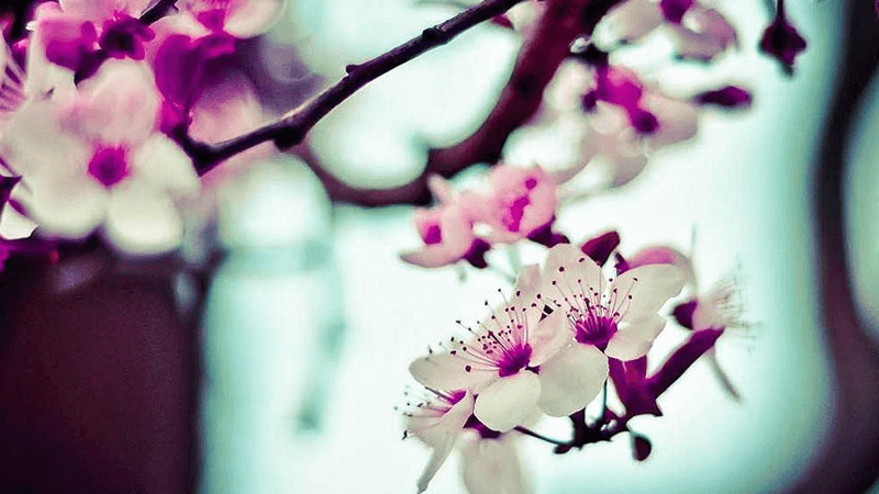 Goal - professional stock photography