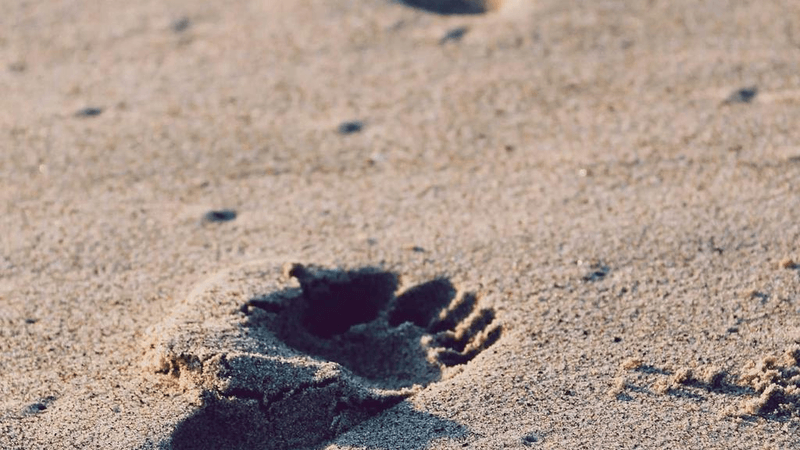 Goal - professional stock photography