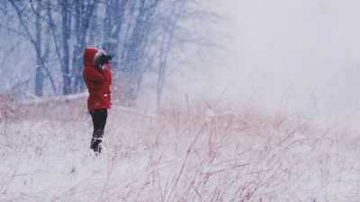 Growth - professional stock photography