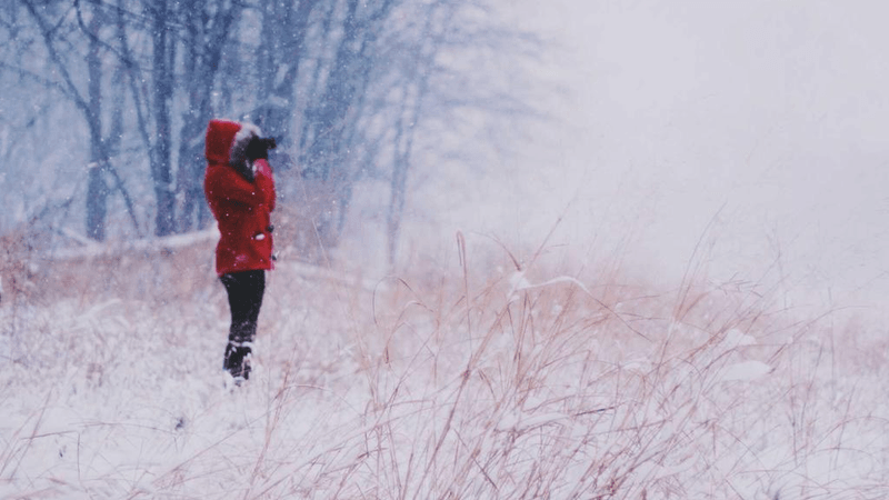 Growth - professional stock photography