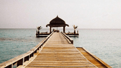 Growth - professional stock photography