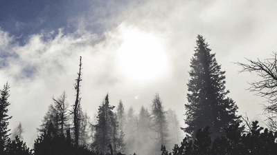 Learning - professional stock photography