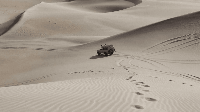 Learning - professional stock photography