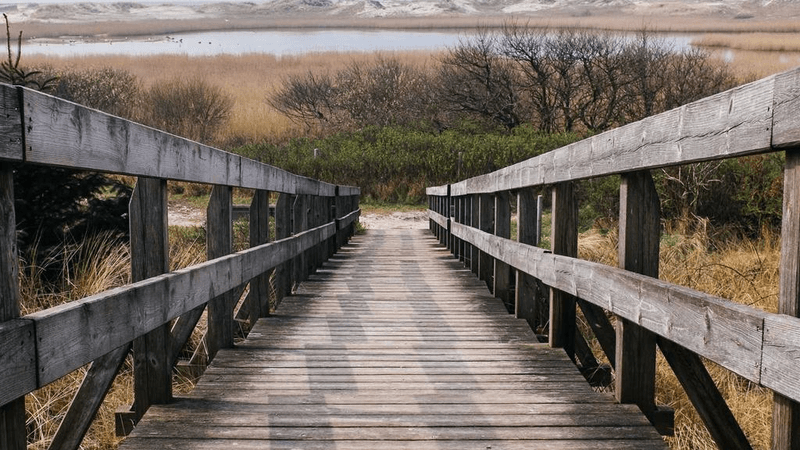 Learning - professional stock photography