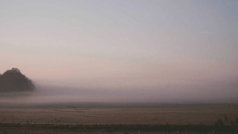 Morning - professional stock photography