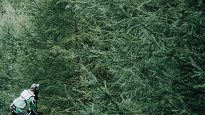 Motivation - professional stock photography