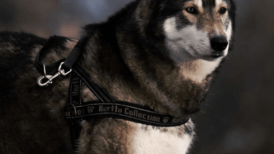 Motivation - professional stock photography