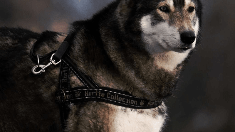 Motivation - professional stock photography