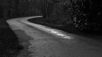 Reading - professional stock photography