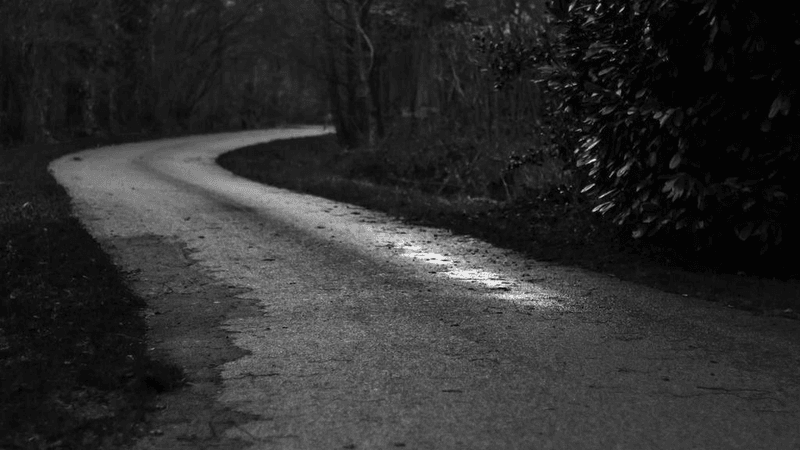 Reading - professional stock photography