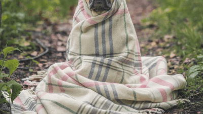 Routine - professional stock photography