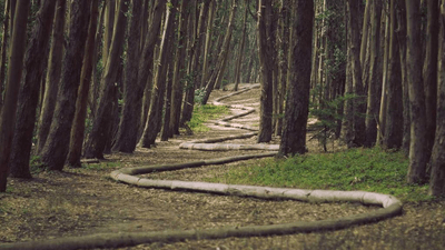 Routine - professional stock photography