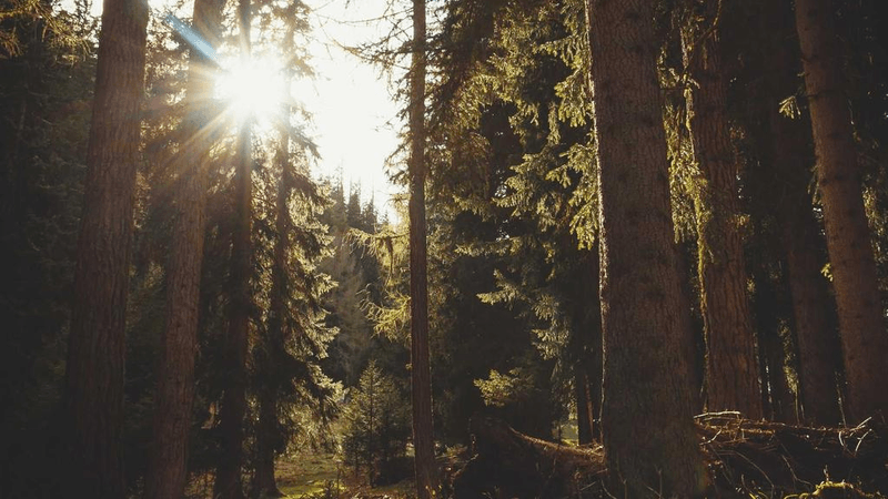 Routine - professional stock photography