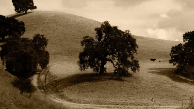 Success - professional stock photography