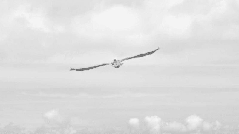 Success - professional stock photography