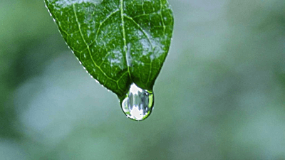 Success - professional stock photography