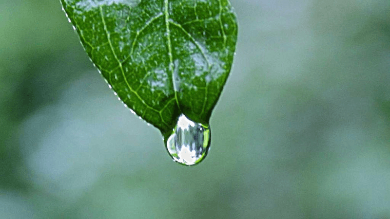 Success - professional stock photography