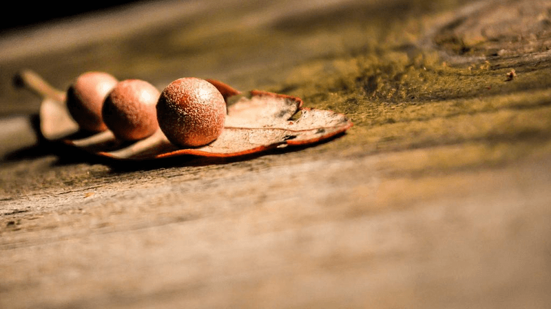 Sunrise - professional stock photography