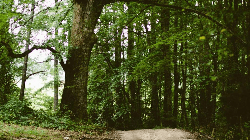 Sunrise - professional stock photography