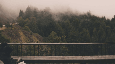 Sunrise - professional stock photography