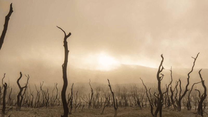 Thinking - professional stock photography