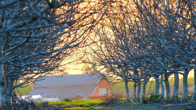 Writing - professional stock photography