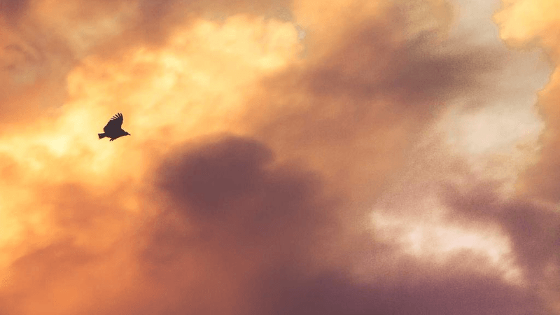 Writing - professional stock photography